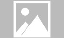 开云APP:USMNT伟大的迈克尔·布拉德利被任命为纽约红牛II队教练